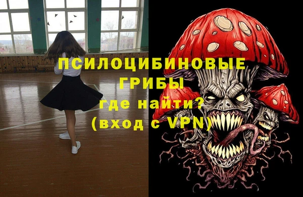 индика Майский