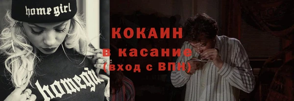 индика Майский