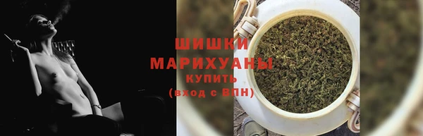 индика Майский