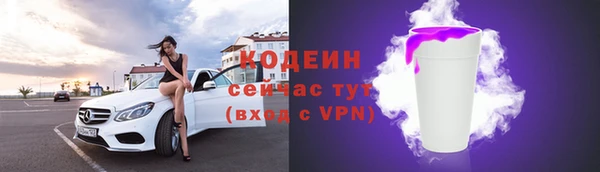 индика Майский