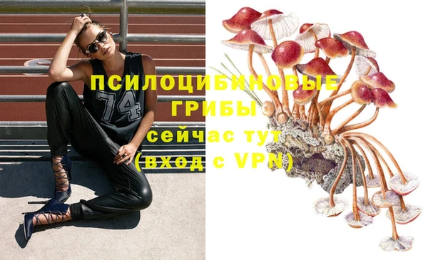 гидропоника Магадан