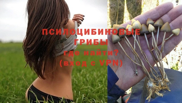 СК Магас