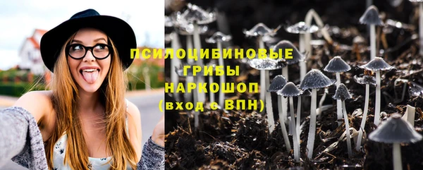 индика Майский