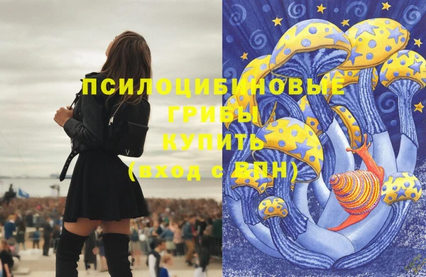 индика Майский