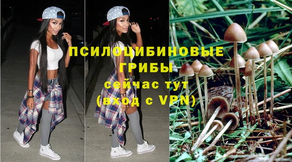прущая мука Лиски